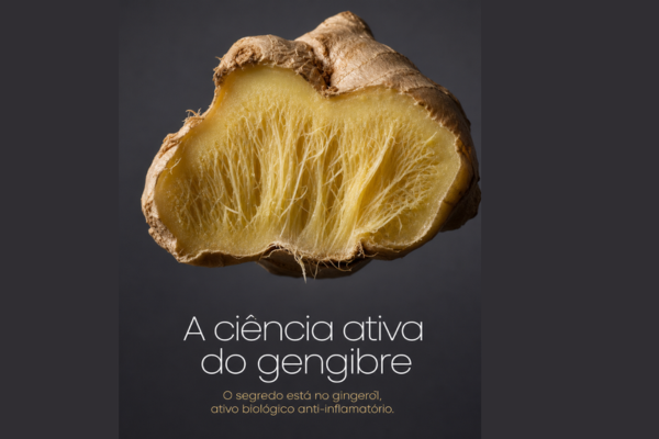Os Benefícios Ocultos do Gengibre para a Saúde
